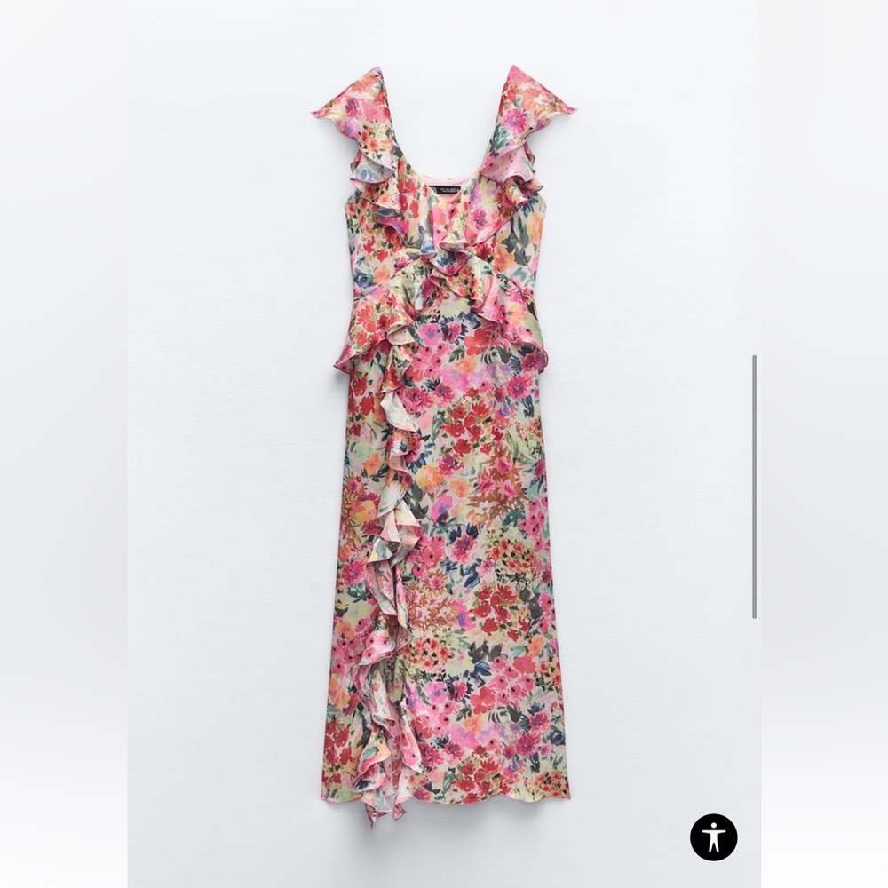 Zara dress